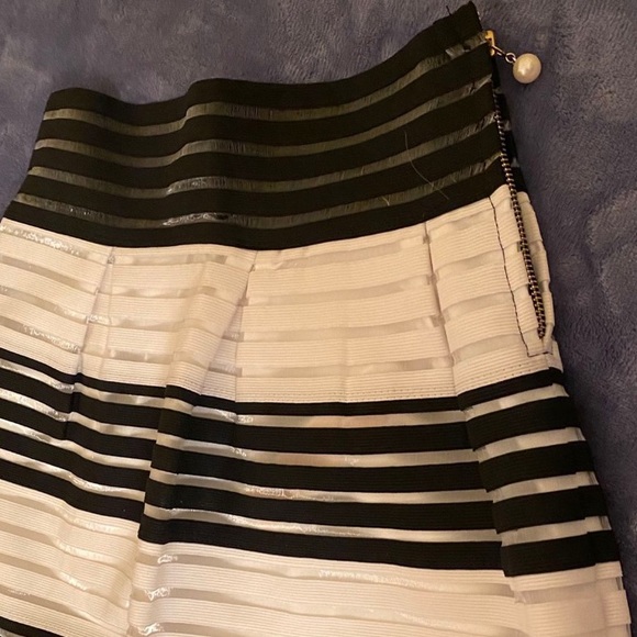NWT Elegant Stripe Sheer Skirt - Picture 5 of 7